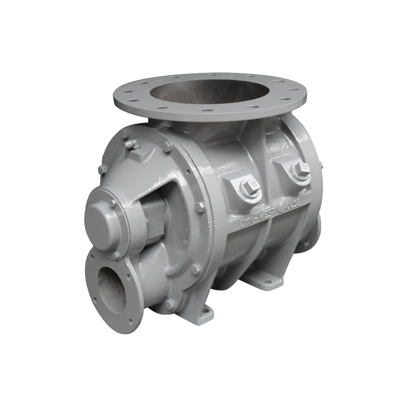 Karaniwang Outlet Pipe Rotary Valve